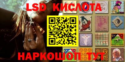 spice Будённовск