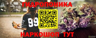 spice Будённовск