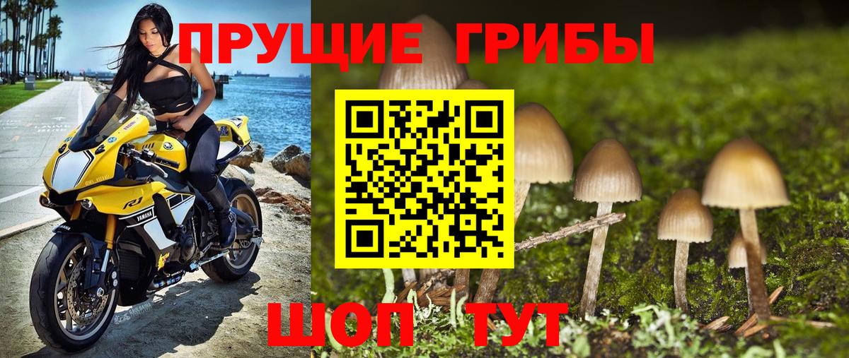 Энгельс  дарнет шоп  Вход с VPN  Галлюциногенные грибы Psilocybine cubensis 